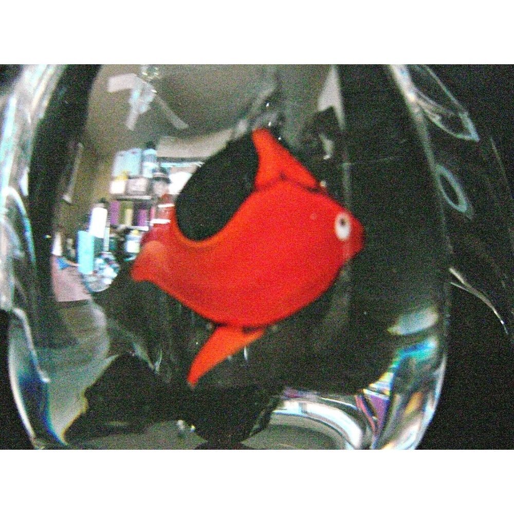 Clear Glass Penguin Figurine with Red Fish Inside Belly Artisan Paperweight Deco - Picture 11 of 12